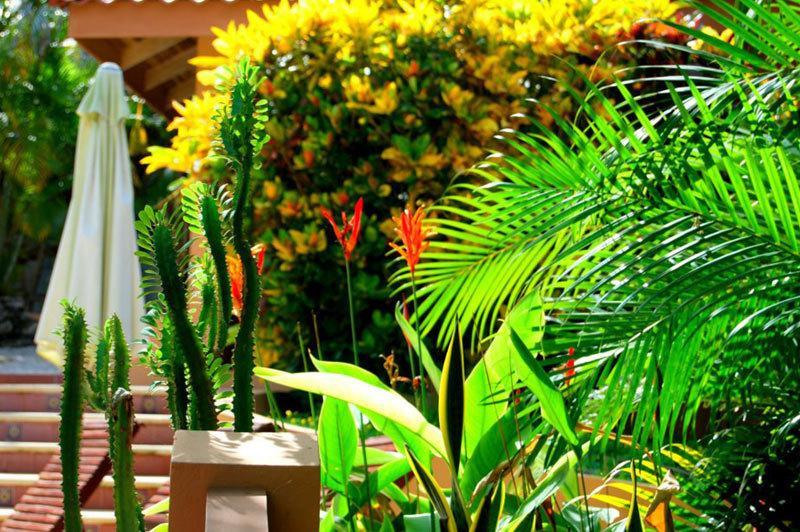Hotel Ritmo Tropical Playa Santa Teresa  ภายนอก รูปภาพ